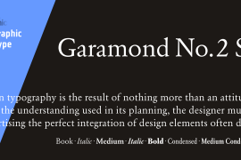 Garamond Nr 2 SB Book