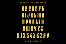 PAG Syndicate