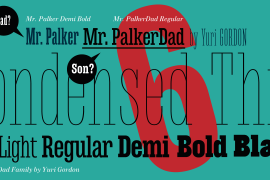 Mr Palker Dad Condensed Black