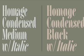 Homage Condensed Black Italic