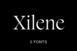 Xilene Italic