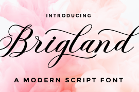 Brigland Script Regular