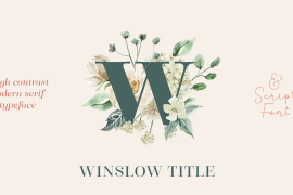 Winslow Title Script Bold Regular