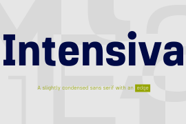 Intensiva Black Italic