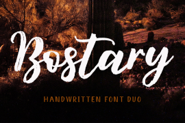 Bostary Brush Regular