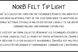 NorB Felt Tip Light