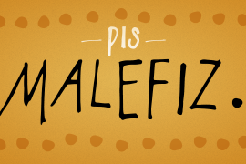 PiS Malefiz Fat