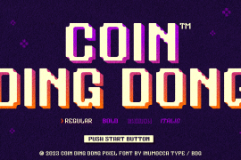 Coin Ding Dong Regular
