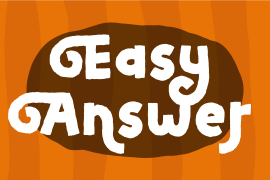 Easy Answer Italic