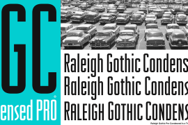 Raleigh Gothic Condensed Cond SC Alts
