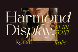 Harmond Extra Bold Italic Expanded