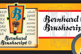 Bernhard Brushscript SG