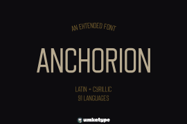 Anchorion