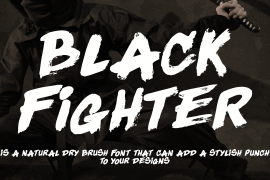 Black Fighter Serif