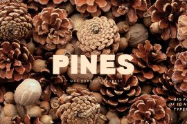 Pines Thin