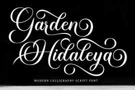 Garden Hidaleya Bold