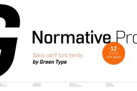 Normative Pro Bold