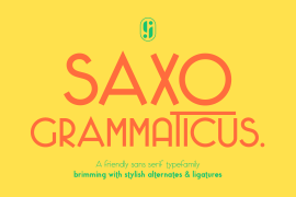 Saxo Grammaticus Light