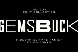 Gemsbuck Pro 01 Bold Italic