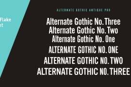Alternate Gothic Pro No Three Antique