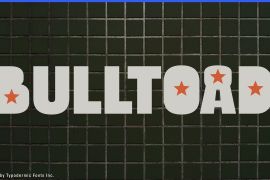 Bulltoad Car
