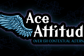Ace Attitude Black