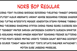 NorB Bop Bold