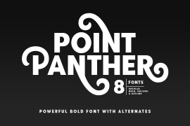 Point Panther Outline Bold Oblique
