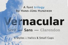 Vernacular Sans Demi Italic