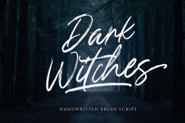 Dark Witches Regular