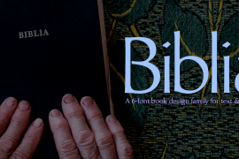Biblia Bold