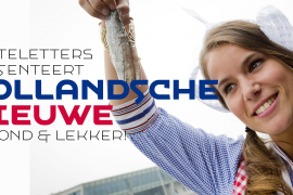 VLNL Hollandsche Nieuwe Bold