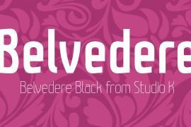 Belvedere Black Italic