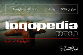 Logopedia Now 500 Regular