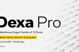 Dexa Pro Expanded Black Italic