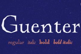 Guenter Bold