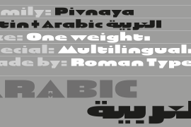 Pivnaya-Arabic Regular