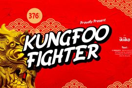 Kungfoo Fighter Oblique