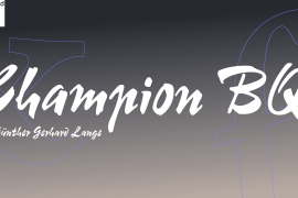 Champion BQ Regular