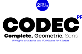 Codec Pro Fat