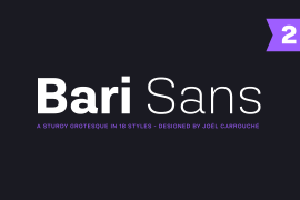 Bari Sans Black Italic