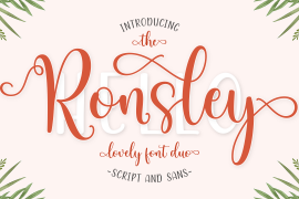 Ronsley Font Duo Sans
