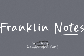 Franklin Notes Regular
