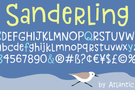 Sanderling