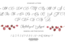 Biargabara Script Regular