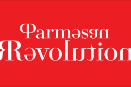 Parmesan Revolution Heavy