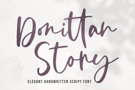 Donittan Story Regular