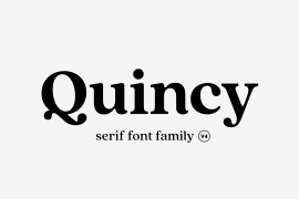 Quincy CF Black
