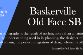 Baskerv Old Face SB Reg