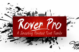 Rover Pro Extra